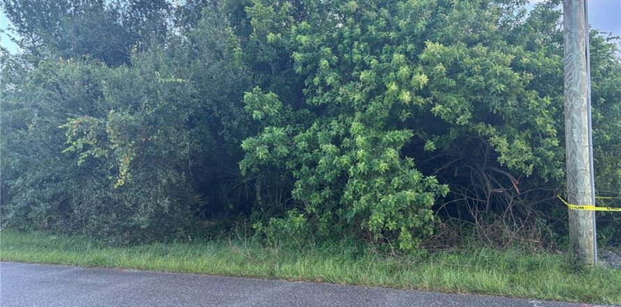 Land in Port Charlotte, Florida № 2195193