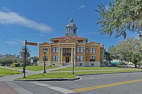Terreno en venta en Inverness, Florida № 1319485 - foto 5