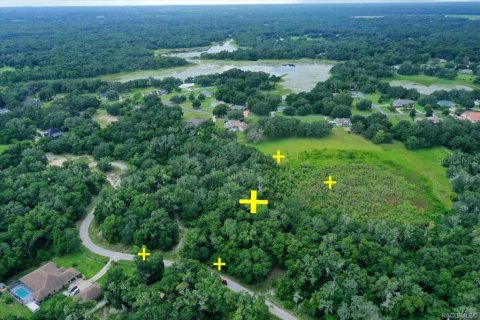 Terreno en venta en Inverness, Florida № 1319485 - foto 2