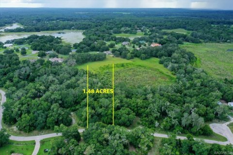 Terreno en venta en Inverness, Florida № 1319485 - foto 1