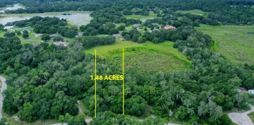 Terreno en Inverness, Florida № 1319485