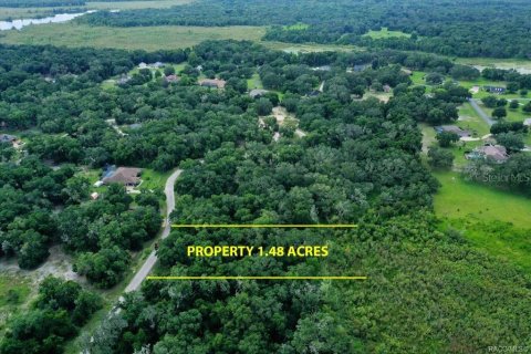 Terreno en venta en Inverness, Florida № 1319485 - foto 4