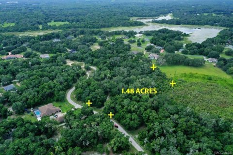 Terreno en venta en Inverness, Florida № 1319485 - foto 3