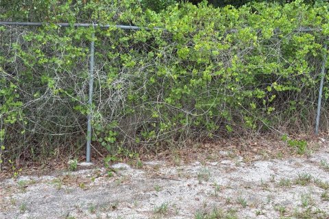 House in Lake Wales, Florida 3 bedrooms, 143.07 sq.m. № 2113618 - photo 11