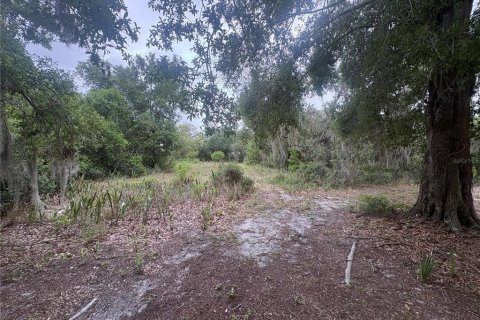 House in Lake Wales, Florida 3 bedrooms, 143.07 sq.m. № 2113618 - photo 21