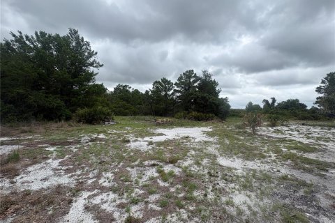 House in Lake Wales, Florida 3 bedrooms, 143.07 sq.m. № 2113618 - photo 25