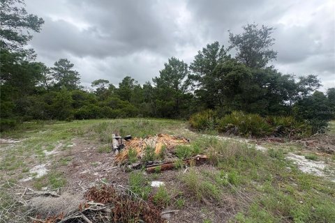 House in Lake Wales, Florida 3 bedrooms, 143.07 sq.m. № 2113618 - photo 27