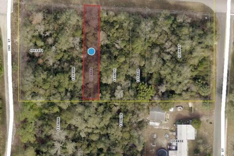Terreno en venta en DeLand, Florida № 1915941 - foto 1