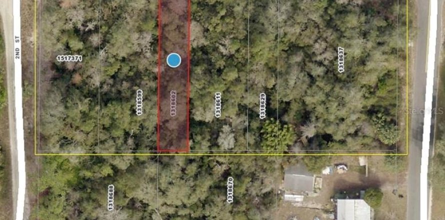 Land in DeLand, Florida № 1915941