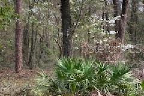 Land in Archer, Florida № 1576414 - photo 1