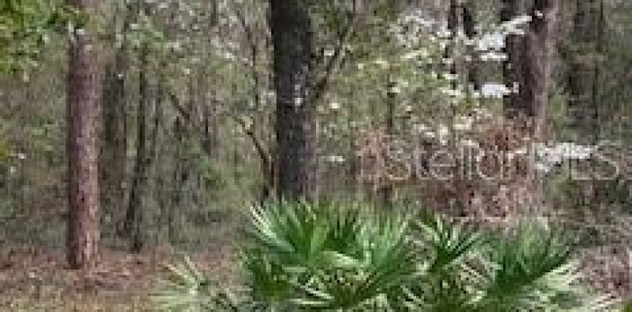 Land in Archer, Florida № 1576414
