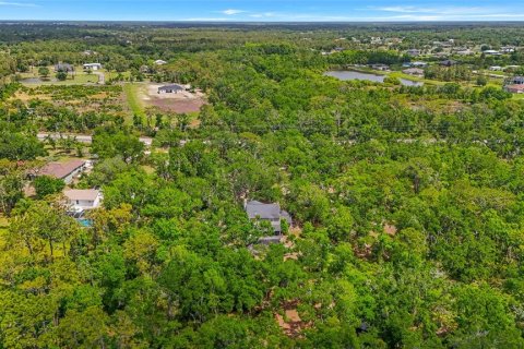 Villa ou maison à vendre à Myakka City, Floride: 3 chambres, 173.73 m2 № 2401205 - photo 17