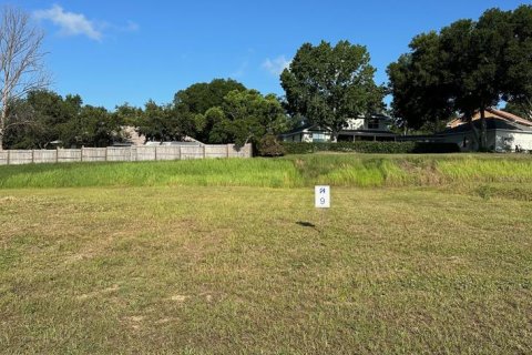 Land in Clermont, Florida № 1801426 - photo 1