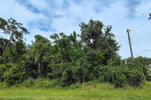 Land in Palm Coast, Florida № 2393392