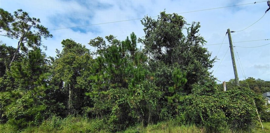 Land in Palm Coast, Florida № 2393392