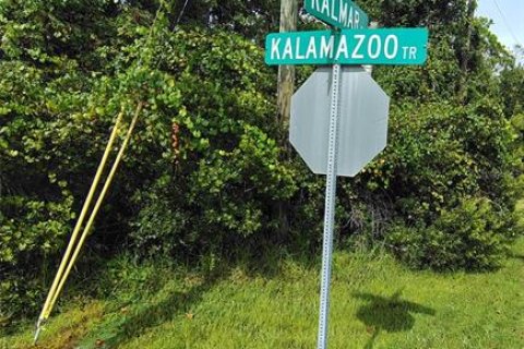 Land in Palm Coast, Florida № 2393392 - photo 5