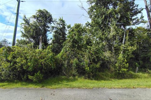 Land in Palm Coast, Florida № 2393392 - photo 2