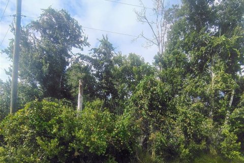 Land in Palm Coast, Florida № 2393392 - photo 4