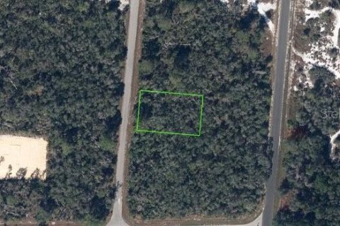 Land in Lake Placid, Florida № 2226202