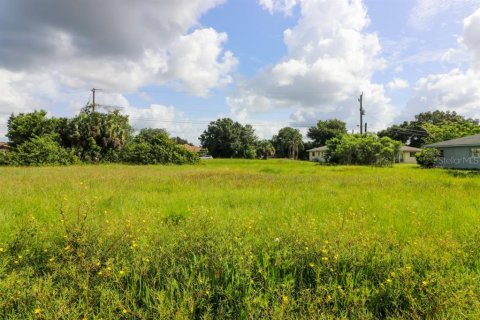 Land in North Port, Florida № 213371 - photo 8