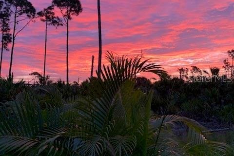 Land in Rotonda, Florida № 2162469 - photo 3