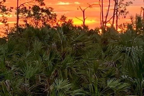 Land in Rotonda, Florida № 2162469 - photo 4