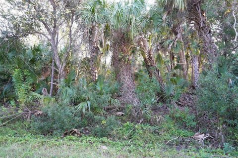 Land in Port Charlotte, Florida № 2166002