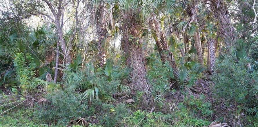 Land in Port Charlotte, Florida № 2166002
