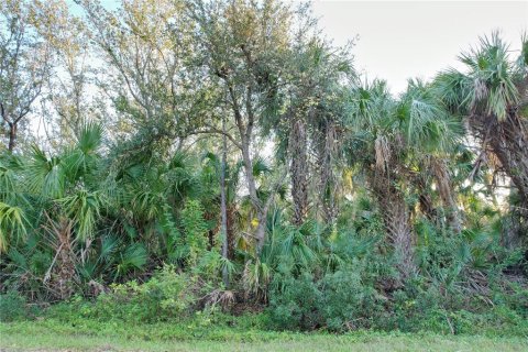 Land in Port Charlotte, Florida № 2166002 - photo 3