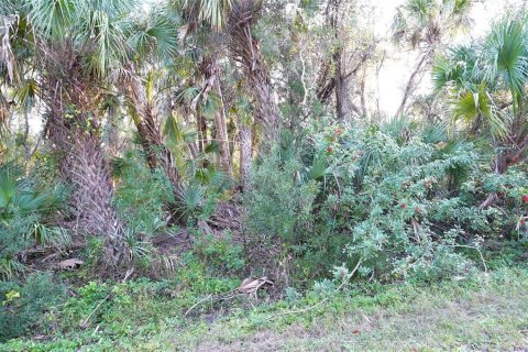 Land in Port Charlotte, Florida № 2166002 - photo 2