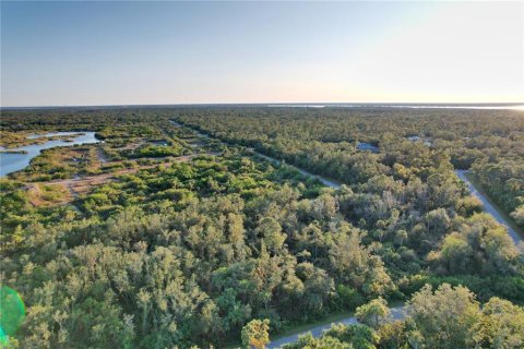 Land in Port Charlotte, Florida № 2166002 - photo 6