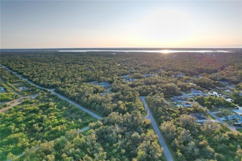 Land in Port Charlotte, Florida № 2166002 - photo 7