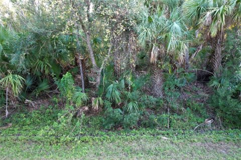 Land in Port Charlotte, Florida № 2166002 - photo 4