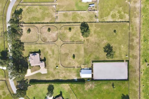 House in Morriston, Florida 3 bedrooms, 276.38 sq.m. № 1651549 - photo 7