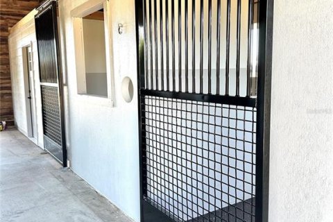 House in Morriston, Florida 3 bedrooms, 276.38 sq.m. № 1651549 - photo 12