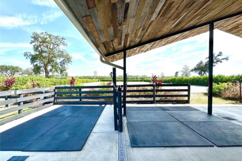 House in Morriston, Florida 3 bedrooms, 276.38 sq.m. № 1651549 - photo 16