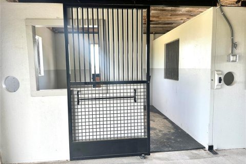 House in Morriston, Florida 3 bedrooms, 276.38 sq.m. № 1651549 - photo 11