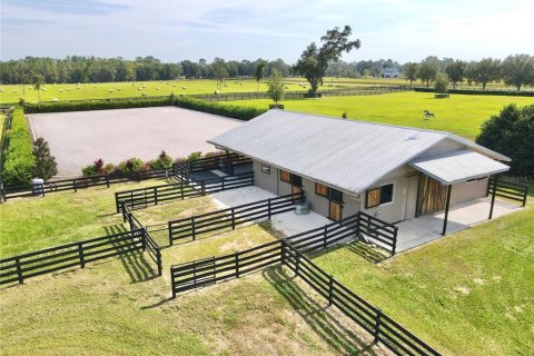 House in Morriston, Florida 3 bedrooms, 276.38 sq.m. № 1651549 - photo 3