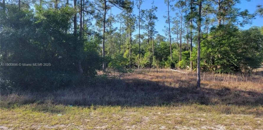 Terreno en Lehigh Acres, Florida № 2015012