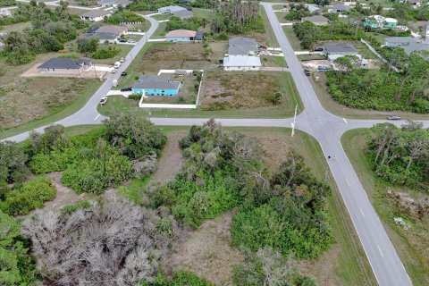Land in Rotonda, Florida № 2159888 - photo 8
