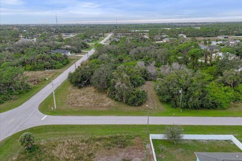Land in Rotonda, Florida № 2159888 - photo 15