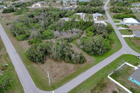 Land in Rotonda, Florida № 2159888 - photo 11