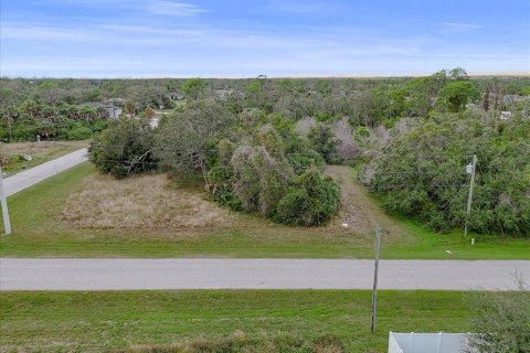 Land in Rotonda, Florida № 2159888 - photo 17