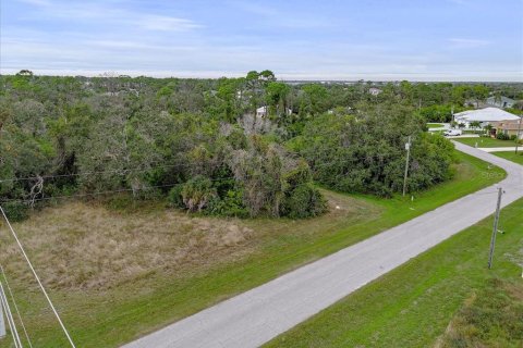 Land in Rotonda, Florida № 2159888 - photo 20