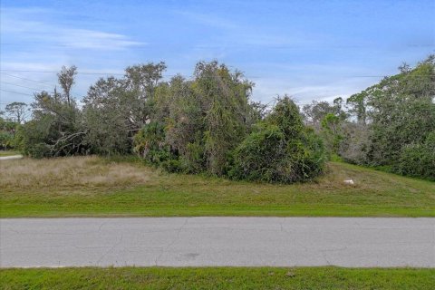 Land in Rotonda, Florida № 2159888 - photo 18