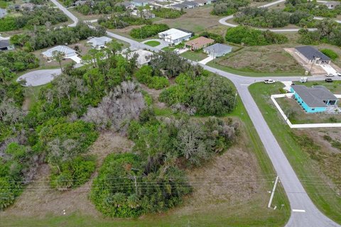 Land in Rotonda, Florida № 2159888 - photo 10