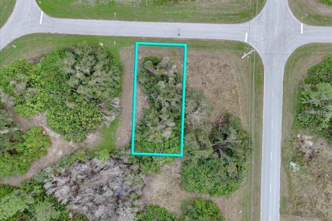 Land in Rotonda, Florida № 2159888 - photo 4