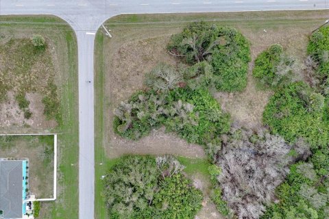 Land in Rotonda, Florida № 2159888 - photo 2