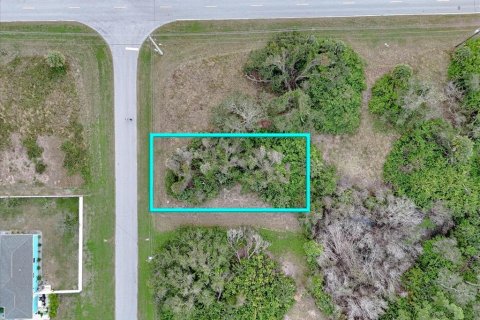 Land in Rotonda, Florida № 2159888 - photo 6