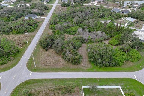 Land in Rotonda, Florida № 2159888 - photo 12